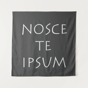 Tapete De Parede Nosce te ipsum