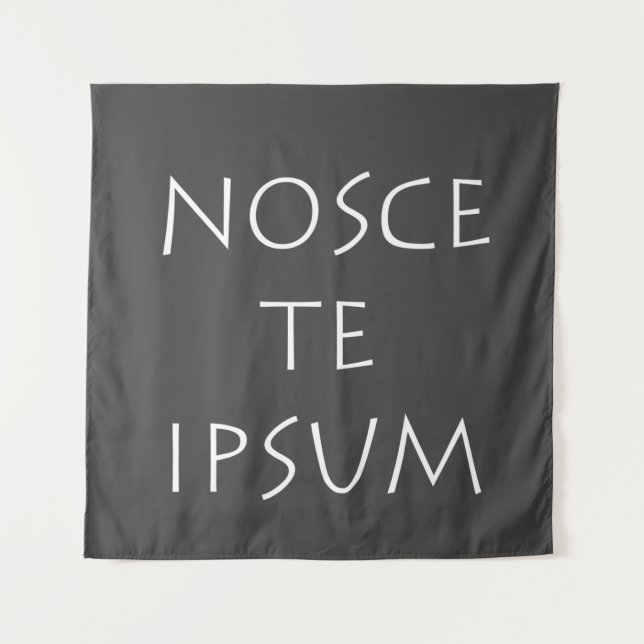 Tapete De Parede Nosce te ipsum (Frente)