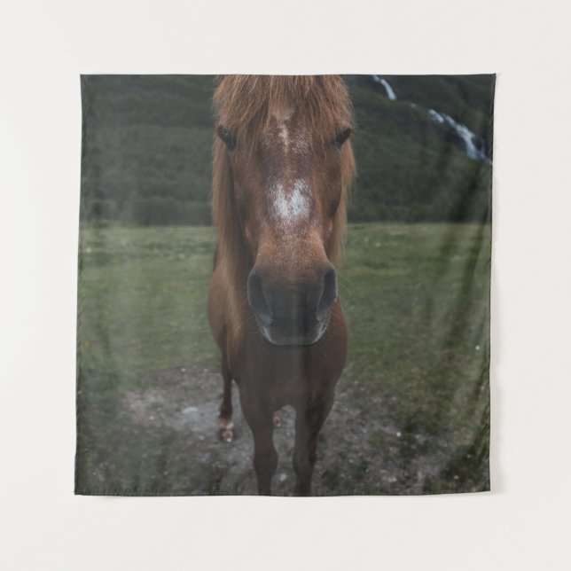TAPETE DE PAREDE OLÁ, EU SOU UM CAVALO (Frente)