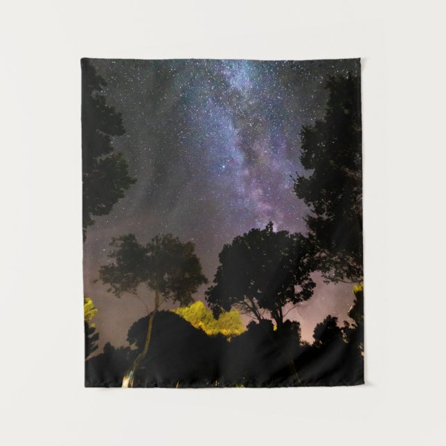 Tapete De Parede Paisagem de árvores com caminho leitoso (Frente)