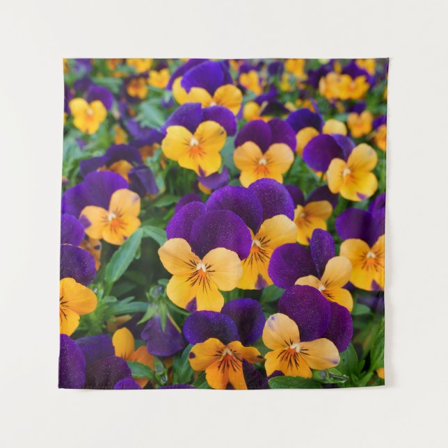 Tapete De Parede Pansy Bloom: Fechamento da Bela do Jardim. (Frente)