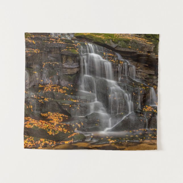 Tapete De Parede Parque Estadual Blackwater Falls (Frente (Horizontal))