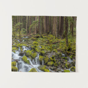 Tapete De Parede Parque Nacional da olimpiadas, Estado de Washingto
