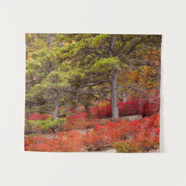 Tapete De Parede Parque Nacional de Acadia, Maine (Frente (Horizontal))