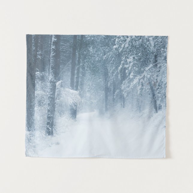 Tapete De Parede Perdido numa floresta mágica (Frente (Horizontal))