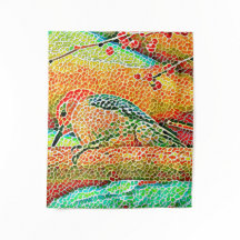 Pica-pau colorida no mosaico de Tree Faux