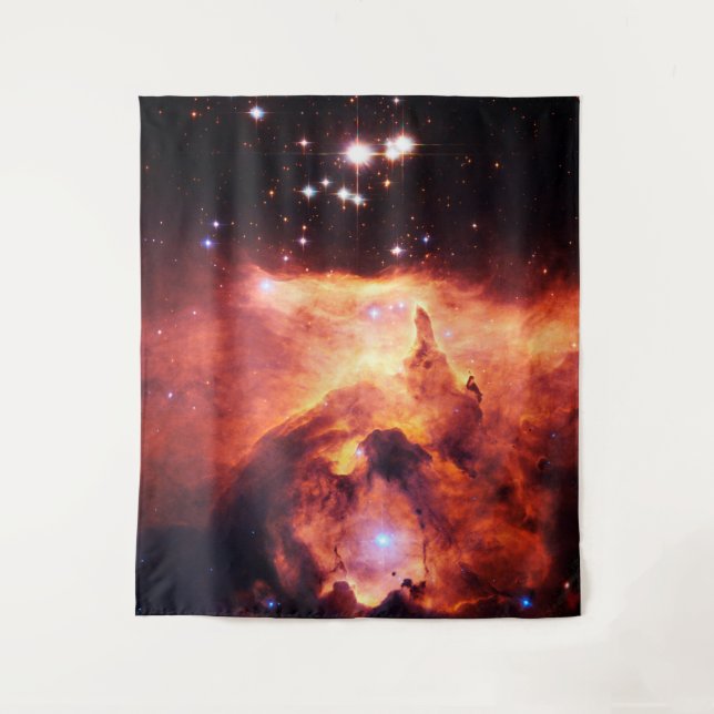 Tapete De Parede Pismis 24-1 Grande (Frente)