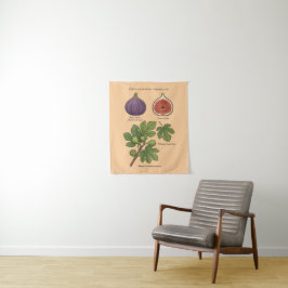 Tapete De Parede Planche Botanique Figue Ficus Carica