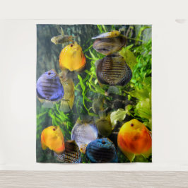 TAPETE DE PAREDE PLANO DE FUNDO PARA FOTOS DE PEIXES LINDO