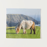 Pônei Shetland em Pastagem Perto de Falésias Altas