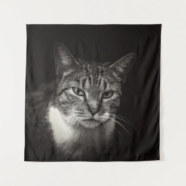 TAPETE DE PAREDE PRATA TABBY CAT (Frente)