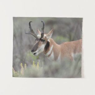 Tapete De Parede Pronghorn Antelope Buck Grand Tetons