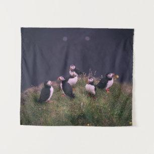 Tapete De Parede Puffins Atlântico