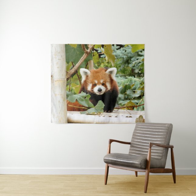 Tapete De Parede Red Panda (In Situ (Horizontal))