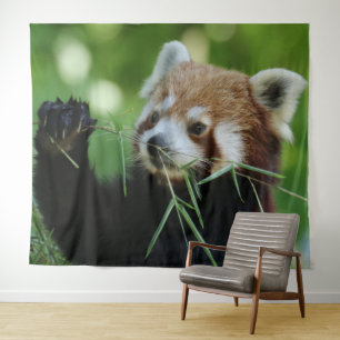 Tapete De Parede RedPanda 002