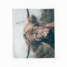 Retrato das vacas do planalto