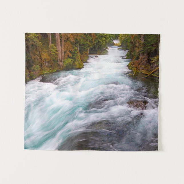 Tapete De Parede Rio McKenzie | Oregon (Frente (Horizontal))