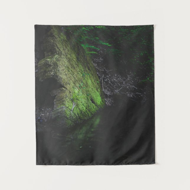 Tapete De Parede Rocha verde-mossita com reflexo na água (Frente)