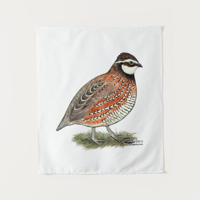 Tapete De Parede Rooster Bobwhite Quail (Frente)