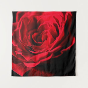 Tapete De Parede Rosa vermelha valentine day close macro design, ro