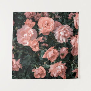 Tapete De Parede Rosas rosa-do-pasto que crescem no jardim em li mo