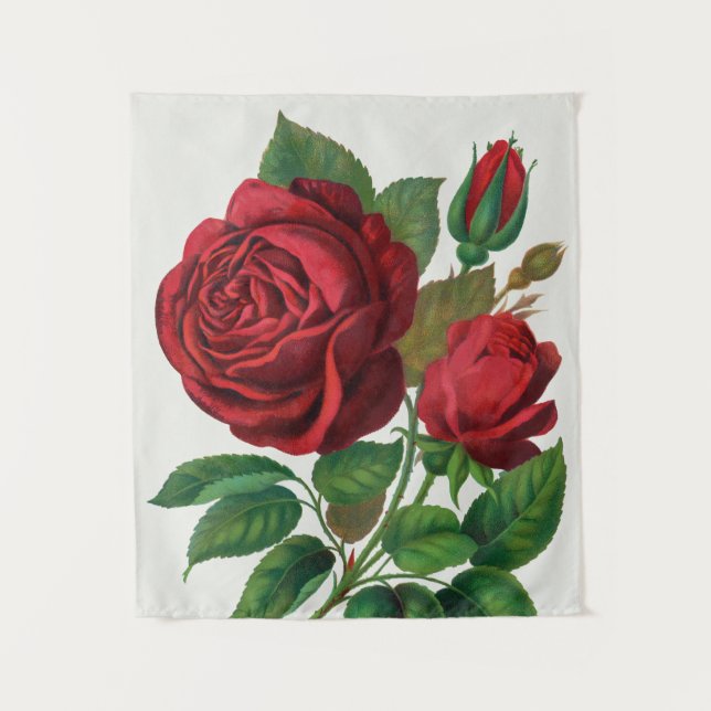 Tapete De Parede Rose Print Rochester Lithographing and Printing Co (Frente)
