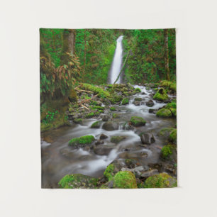 Tapete De Parede Ruckel Creek Falls, Desfiladeiro do Rio Columbia O