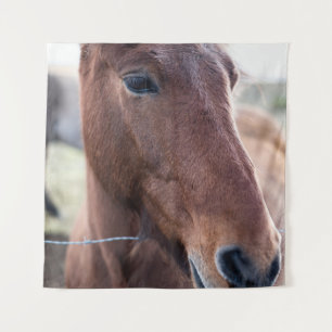 TAPETE DE PAREDE SAD HORSE
