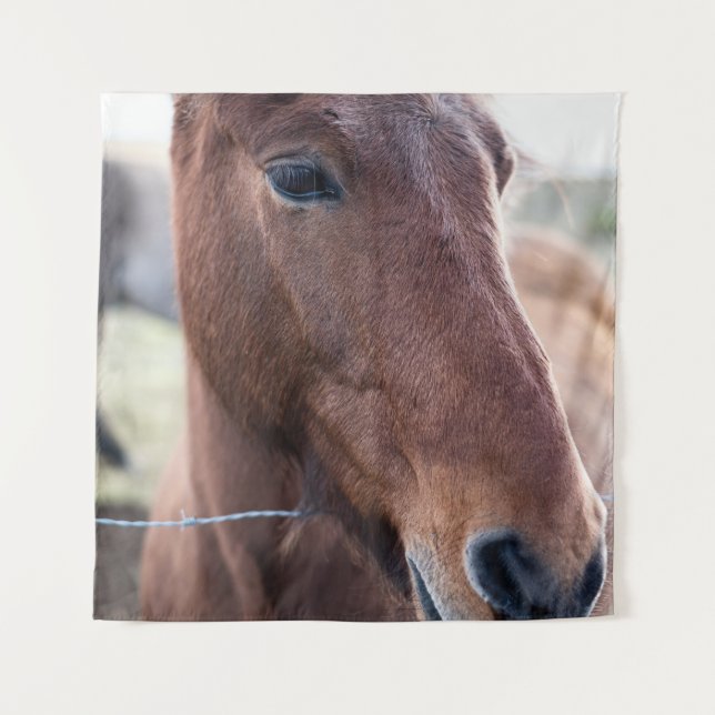 TAPETE DE PAREDE SAD HORSE (Frente)