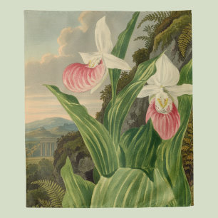 Tapete De Parede Sapatinho Rosa Floral Vintage Orquídea Botânica
