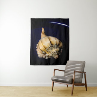Tapete De Parede Sea Snail Shell com Barnáculos