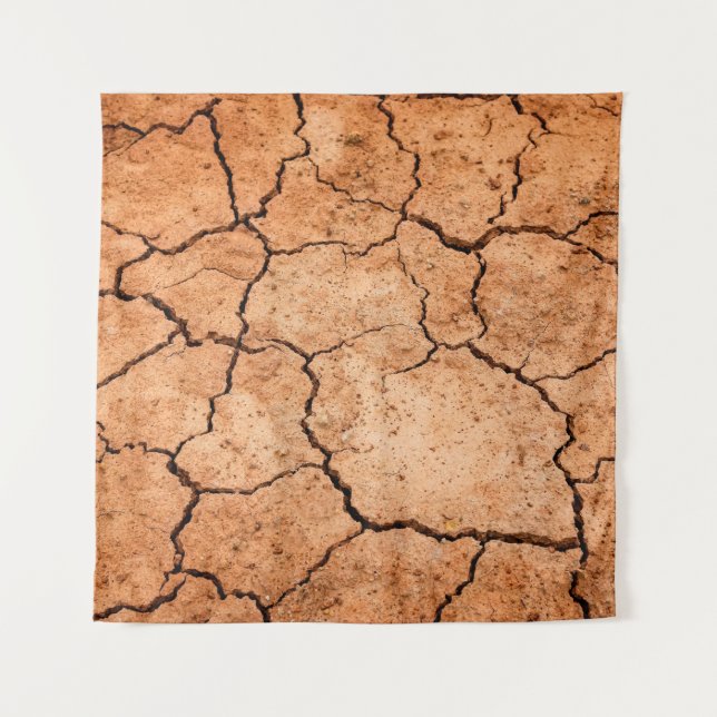 Tapete De Parede Secagem do solo em seca na Terra (Frente)