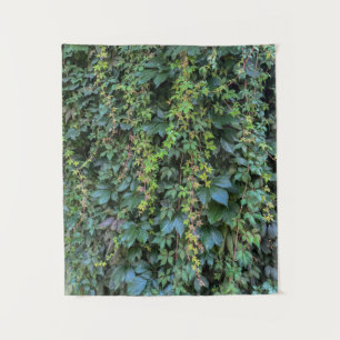Tapete De Parede Serene Green Ivy Wall Prendendo Folhas de Plantas 