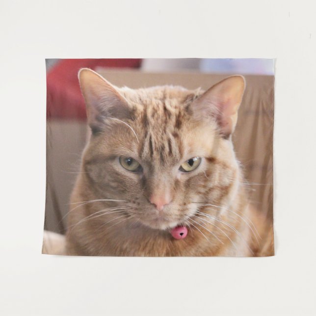 Tapete De Parede Sério (Frente (Horizontal))