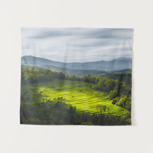 Tapete De Parede Sol brilhando no campo de terraços