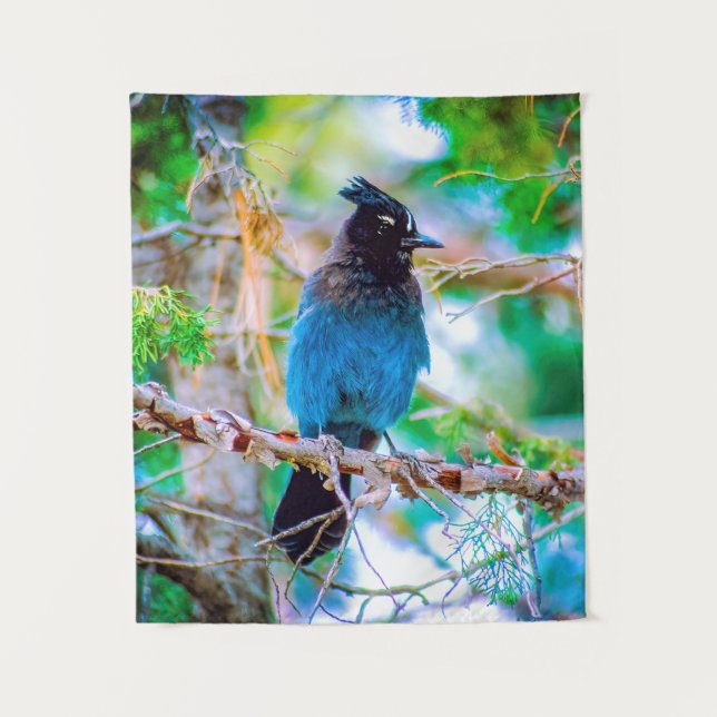 Tapete De Parede Steller's Jay - Fotografia original (Frente)