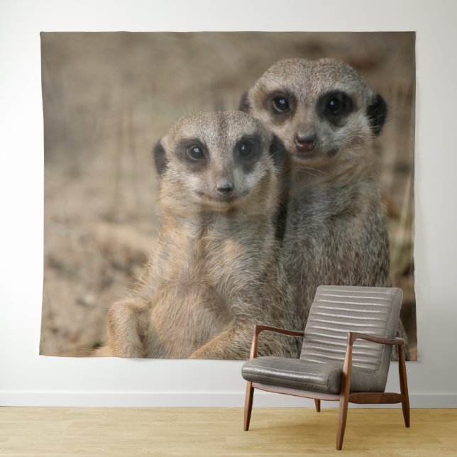 Tapete De Parede Suricata 067 (In Situ (Horizontal))