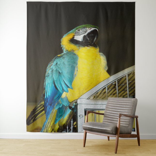 Tapete De Parede Taz. (In Situ)