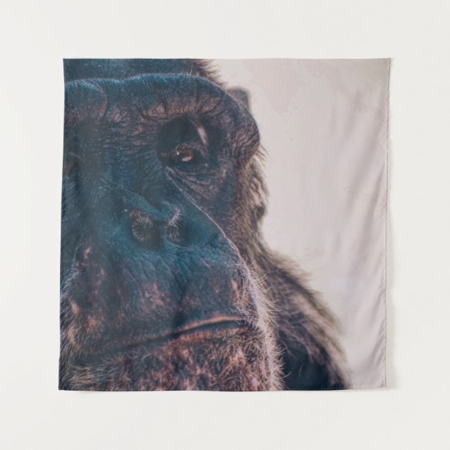 TAPETE DE PAREDE THE OLDEST CHIMPANZEE (Frente)