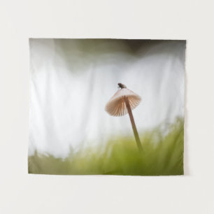 Tapete De Parede Tiny Mushroom Nature Foto