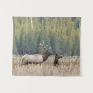 Tapete De Parede Touro Elk em Meadow Parque Nacional Yellowstone