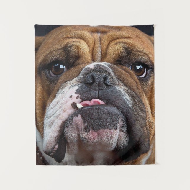 Tapete De Parede Travesseiro decorativo Inglês Bulldog (Frente)