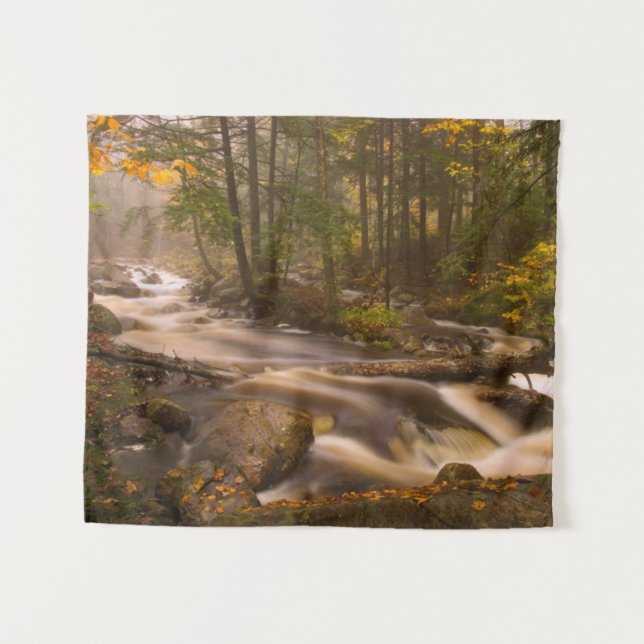 Tapete De Parede Trilhas Fluindo Appalachian Trail | Vermont (Frente (Horizontal))