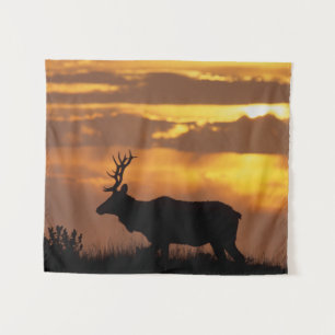 Tapete De Parede Tule Elk Ponto Reyes National Seashore