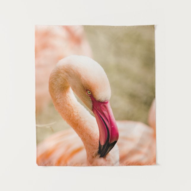 Tapete De Parede Um Belo Flamingo Rosa (Frente)