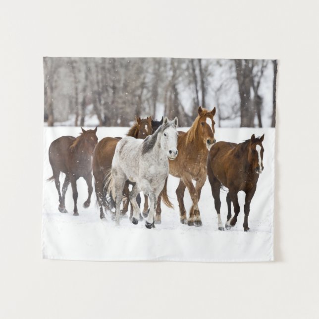 Tapete De Parede Um Cena de Inverno de Cavalos Correntes (Frente (Horizontal))