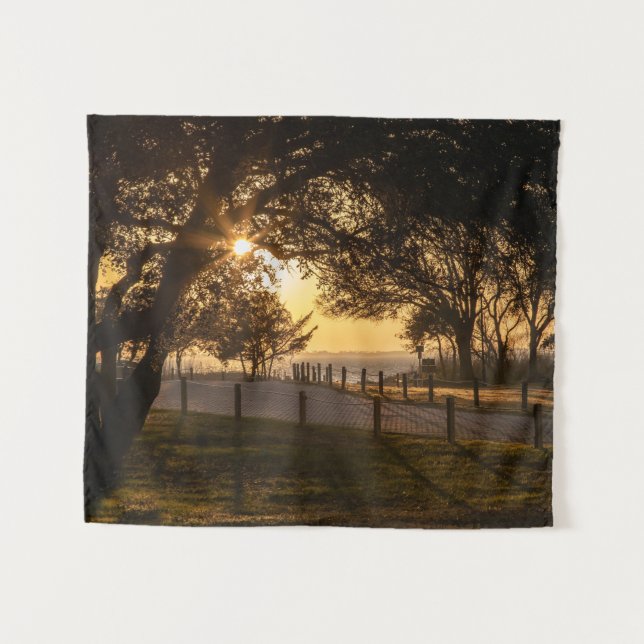 Tapete De Parede Uma Noite Em Whalehead (Frente (Horizontal))