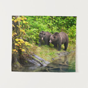 Tapete De Parede Urso Pardo & Filhote Hyder, Alasca