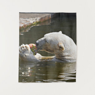 Tapete De Parede Urso Polar Comendo Fruta Vista