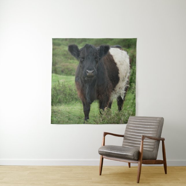 Tapete De Parede Vaca Galloway Belga (In Situ)